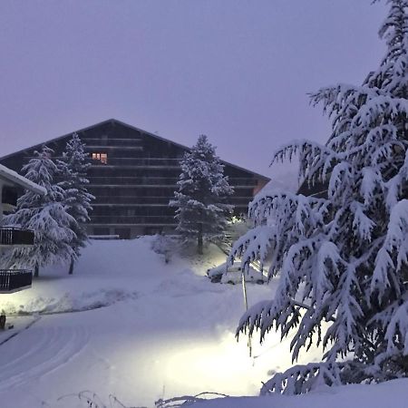 Auron Montain Viewアパートメント エクステリア 写真